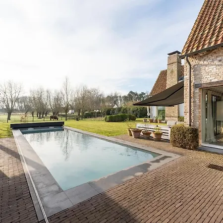 Endless Summer - Family With Pool